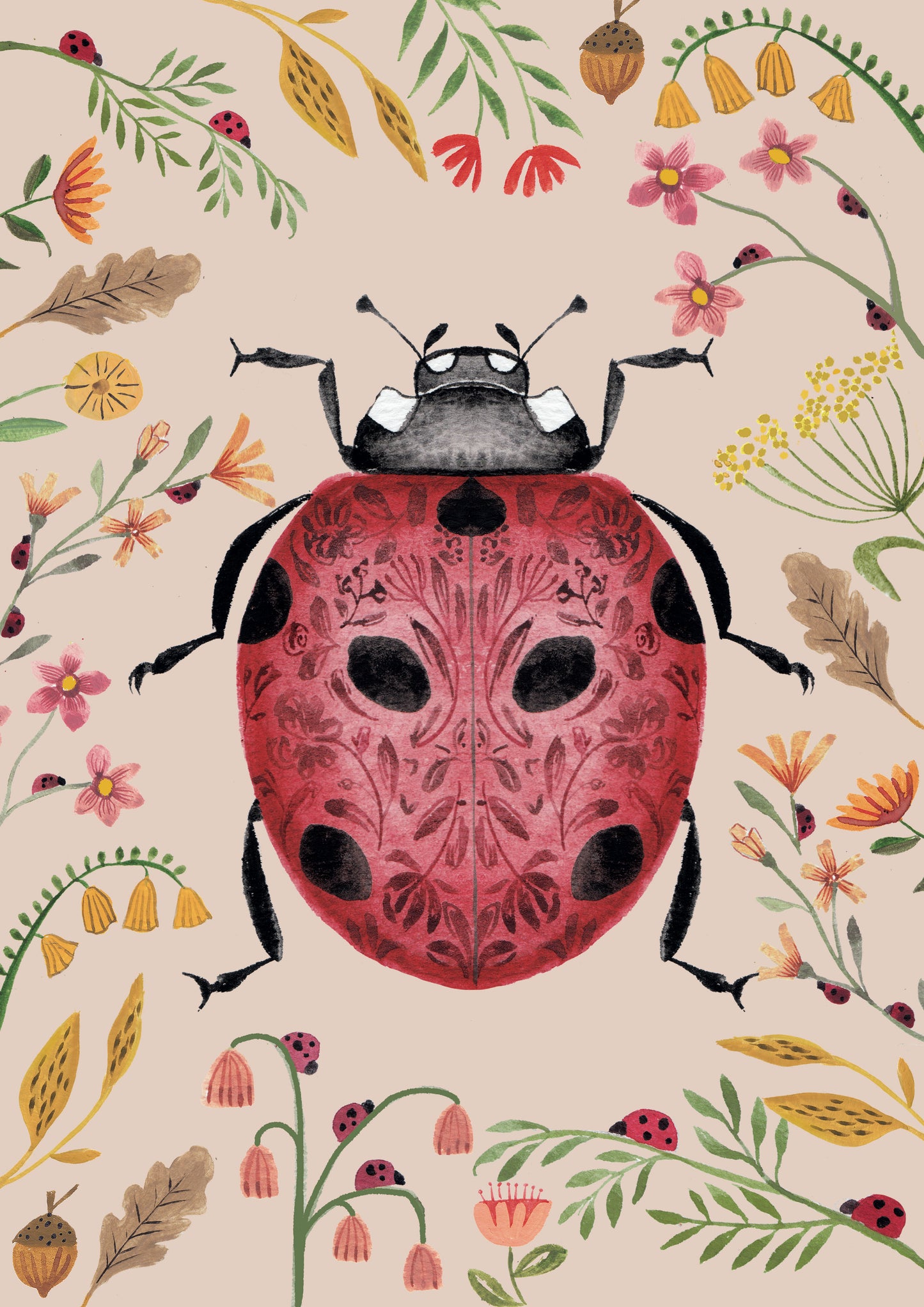 Ladybird