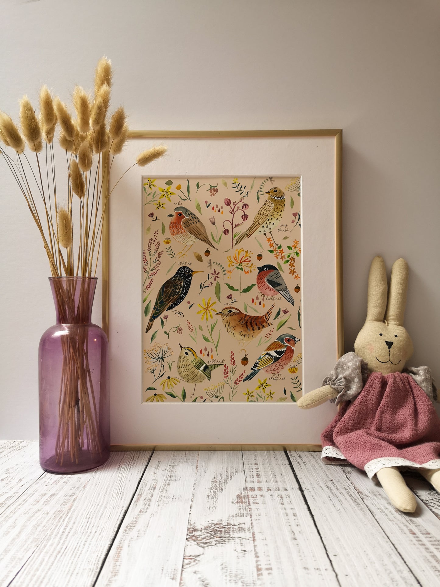 Garden Birds