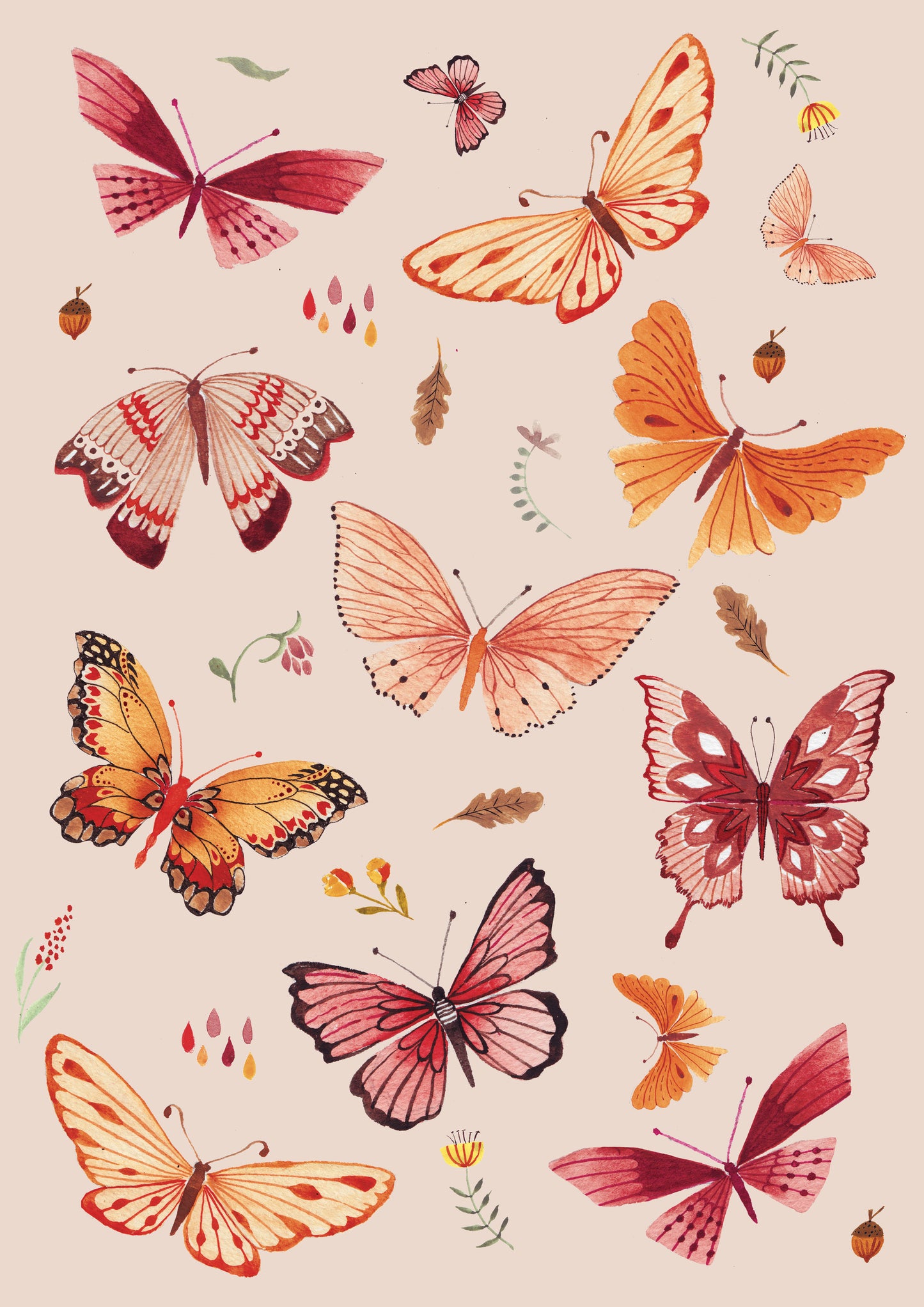 Butterflies