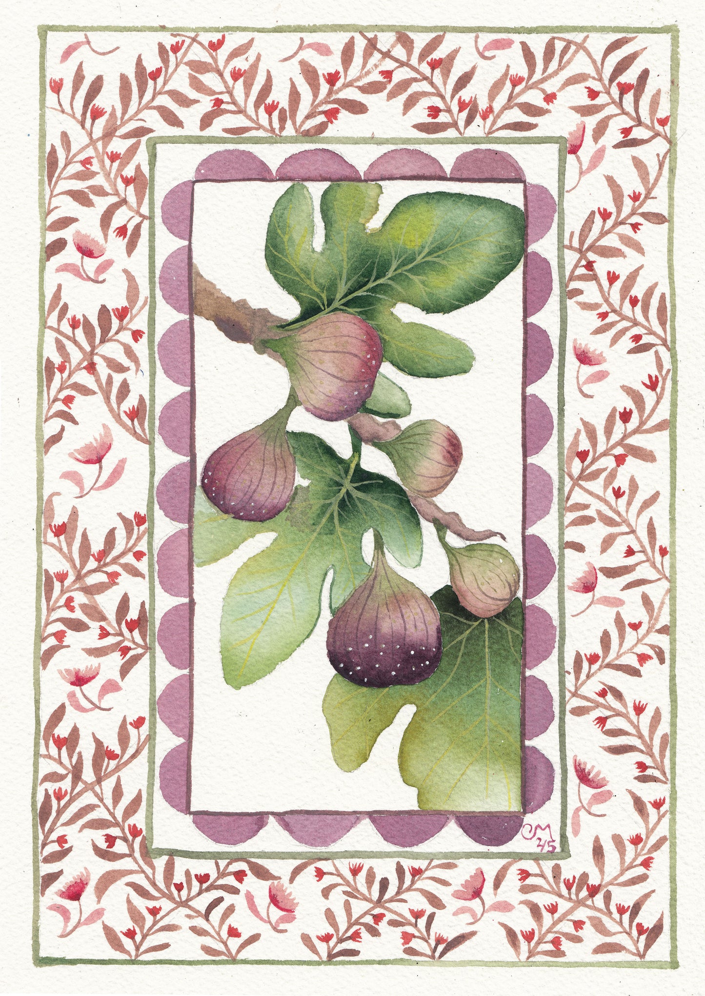 Figs