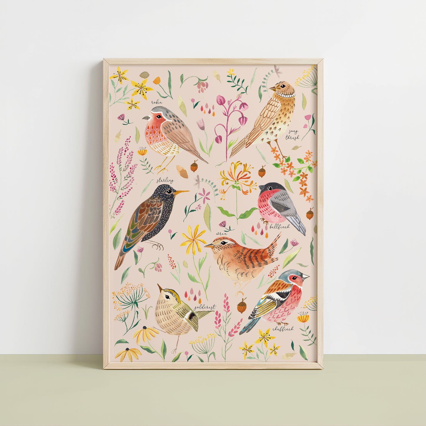 Garden Birds
