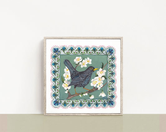 Blackbird in Cherry blossom