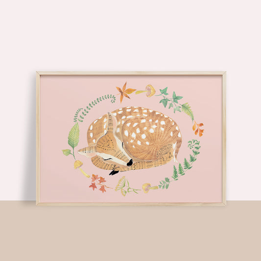 Sleeping Fawn