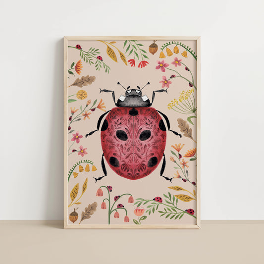 Ladybird
